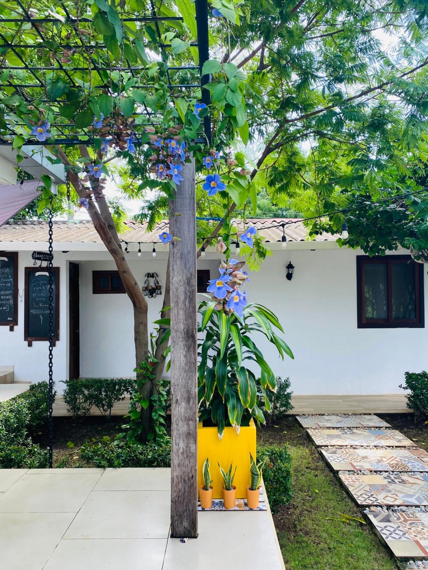Casa San Juan Bed & Breakfast มานากัว ภายนอก รูปภาพ